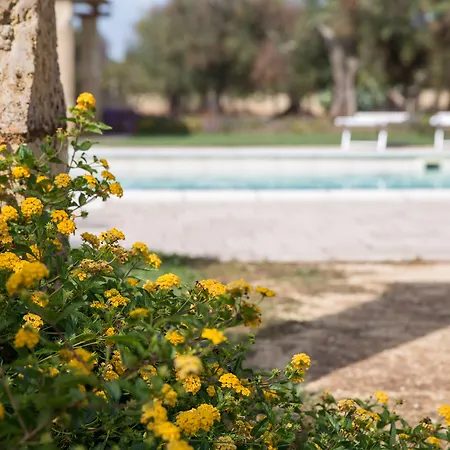 Bed & Breakfast Masseria Saietti