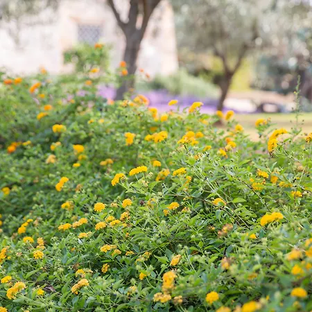 Bed & Breakfast Masseria Saietti