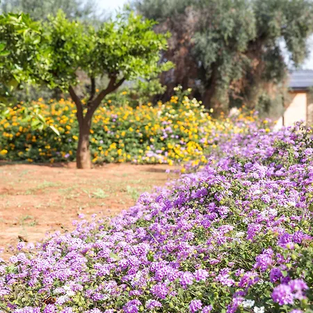 Masseria Saietti Bed & Breakfast Ruffano