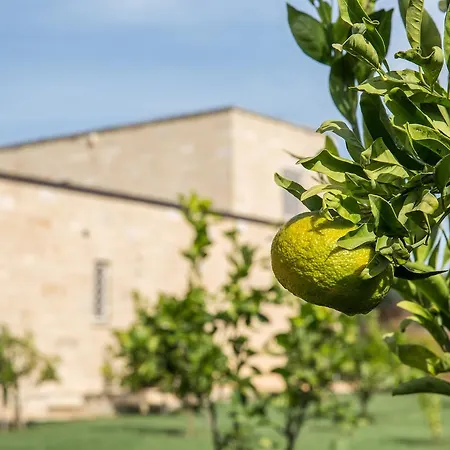 Bed & Breakfast Masseria Saietti