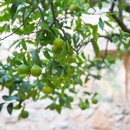 Masseria Saietti 住宿加早餐酒店 鲁法诺