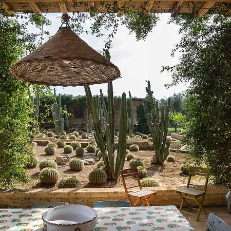 住宿加早餐酒店 Masseria Saietti