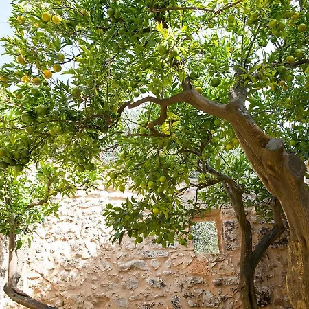 Bed & Breakfast Masseria Saietti Ruffano