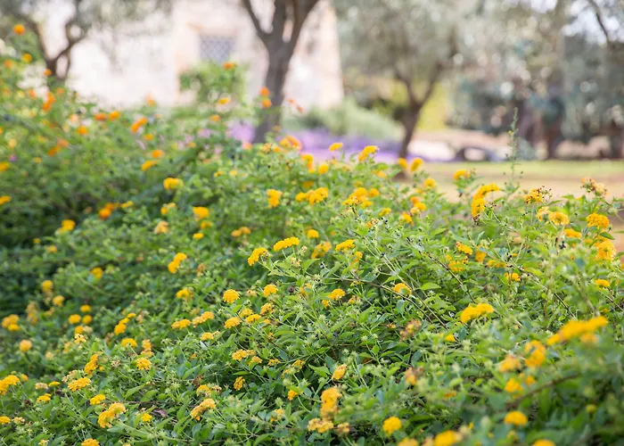 فندق مبيت وإفطار Masseria Saietti