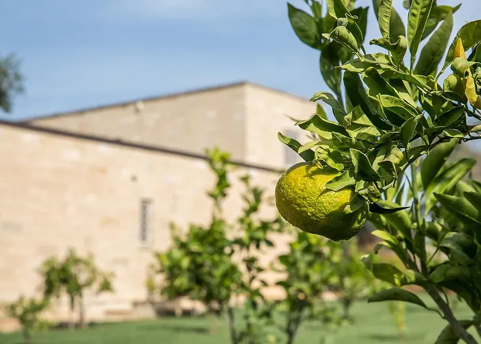 Bed & Breakfast Masseria Saietti